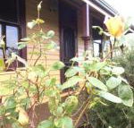 Albion Cottage - Accommodation Cairns