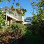 Rip Tide - Accommodation Cairns 0