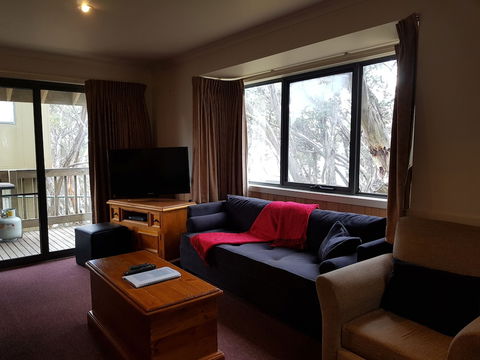 Discobulous 6 - Accommodation Cairns 2