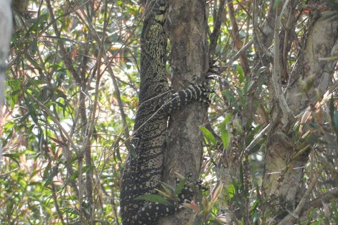 The Lodge Mapleton Falls - Accommodation Cairns 5