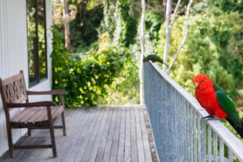 At Riverside - Accommodation Cairns 5