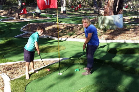 Bimbi Park - Camping Under Koala - Accommodation Cairns 1