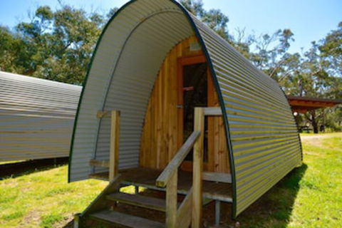 Bimbi Park - Camping Under Koala - Accommodation Cairns 0
