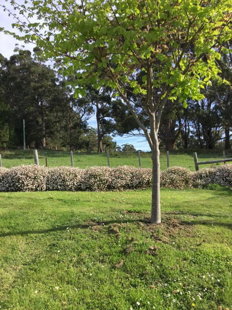 Nextdooratportarthur - Accommodation Cairns 3