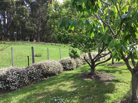 Nextdooratportarthur - Accommodation Cairns 1