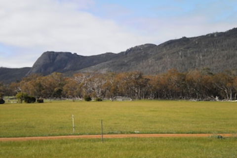 Manyat Peak Cottages - Accommodation Cairns 0