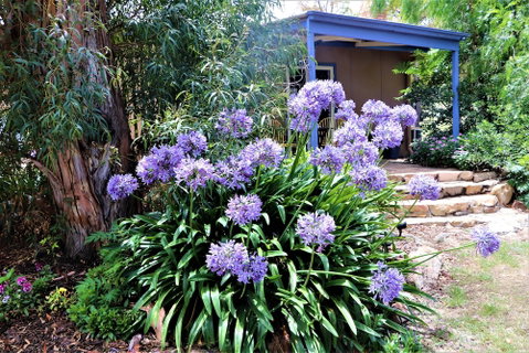 A Stanthorpe Getaway - Accommodation Cairns 4