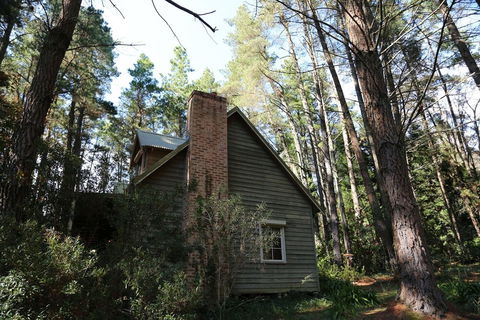 Holly Lodge Medlow Bath - Accommodation Cairns 1