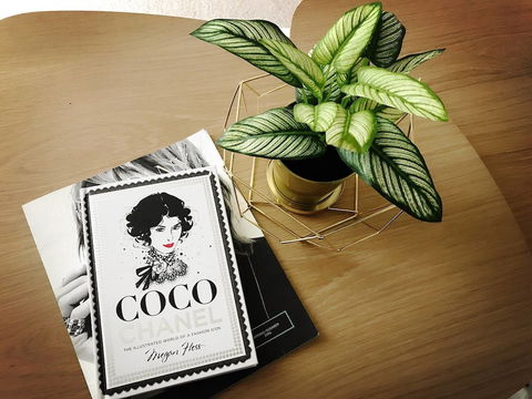 ILK Apartments South Yarra - Accommodation Cairns 2