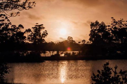 Bendigo Lakeside Accommodation - Accommodation Cairns 6
