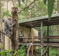 Springwood Meditation Vacation Center - Accommodation Cairns