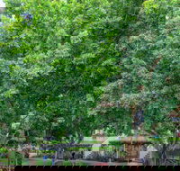 Theodore Apartments - Accommodation Cairns