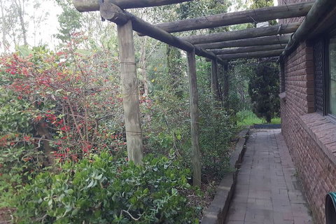 Nice House In Singleton Hunter Valley - Accommodation Cairns 3