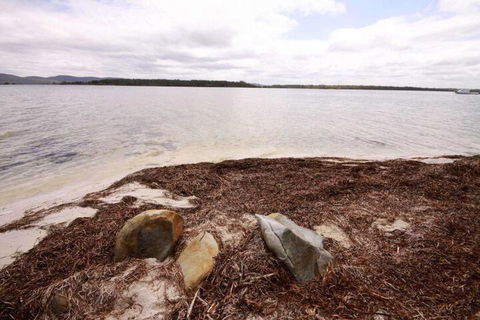 Berringar 71 Green Point - Accommodation Cairns 4
