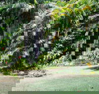 Sanctuary in The Pocket - Accommodation Cairns