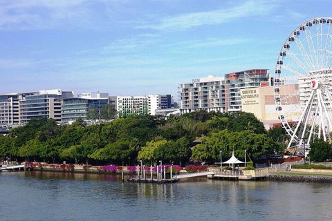 Bribane Chinatown 2bed Apt + Parking Pool Gym Qfv147 8 - Accommodation Cairns 5