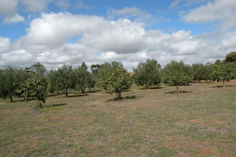 Thalia Getaway Villa - Accommodation Cairns 2