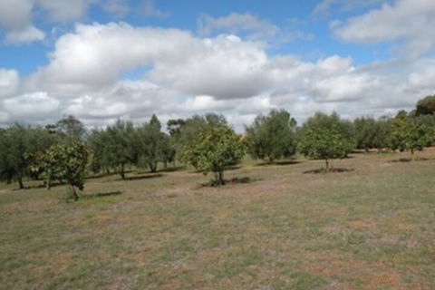 Thalia Getaway Villa - Accommodation Cairns 3