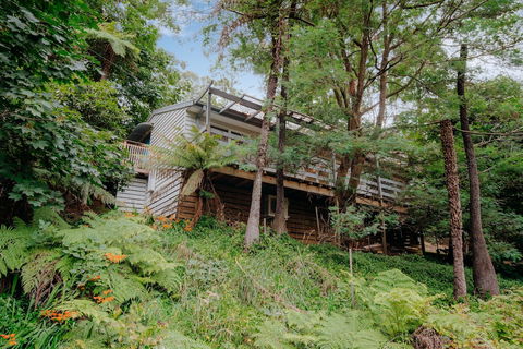 Steep Creek Retreat - Accommodation Cairns 1