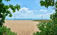 The Mediterranean Beachfront Groundfloor Apartment - thumb 5
