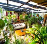 Jaspers Apartments - Accommodation Cairns