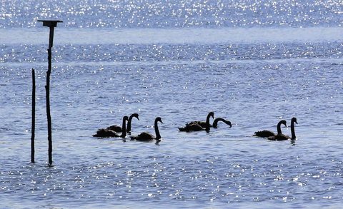 Riverwalk B & B - Accommodation Cairns 6