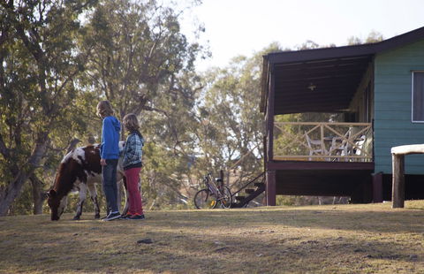 Bestbrook Mountain Resort - Accommodation Cairns 4