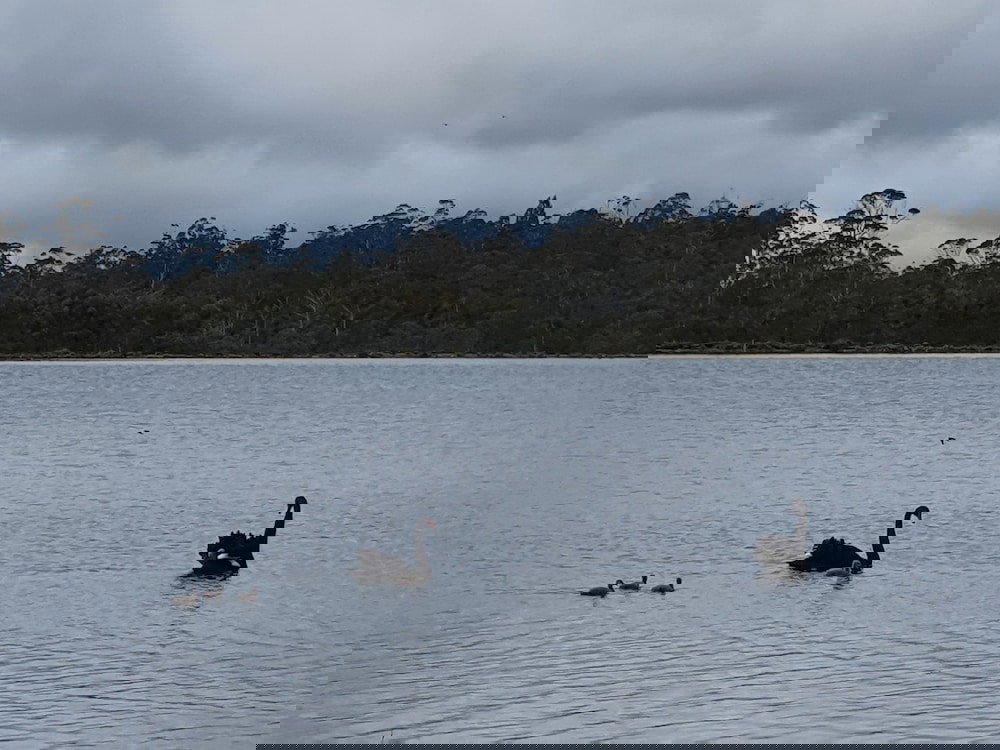  Accommodation Cairns