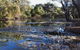 Springvale Homestead - thumb 1