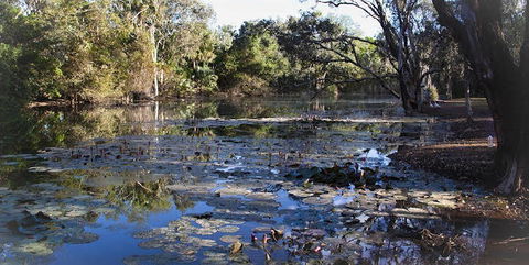 Springvale Homestead - Accommodation Cairns 1