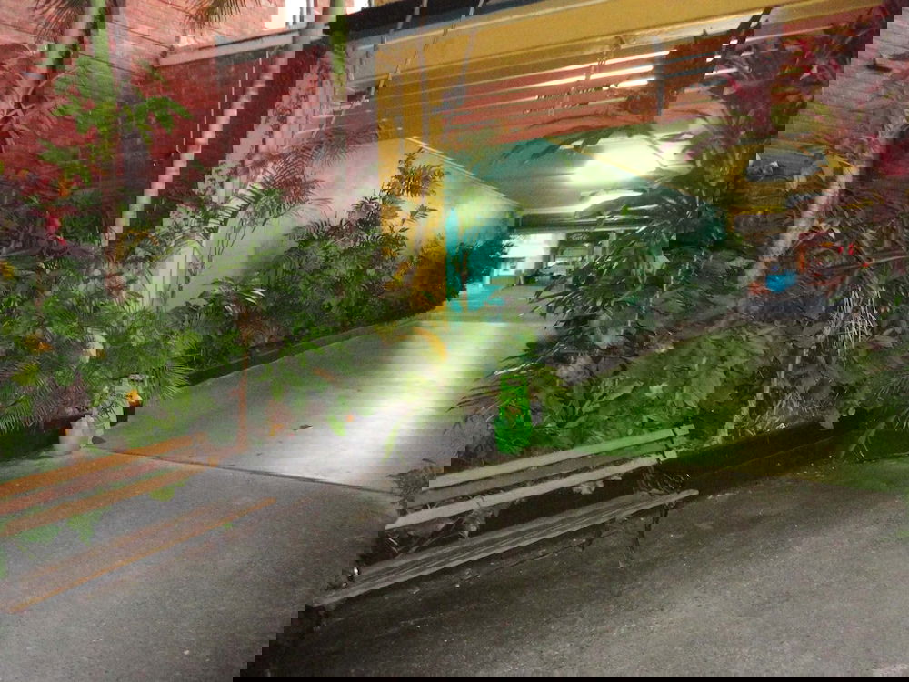 North Arm NSW Accommodation Cairns