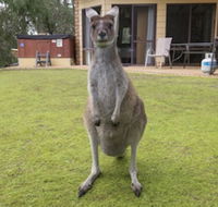 Yelverton Brook Conservation Sanctuary - Accommodation Cairns