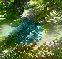 Palm Cove Tropic Apartments - Accommodation Cairns