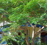 Amber Gardens Guesthouse - Accommodation Cairns