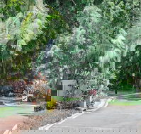Oasis at Palm Cove - Accommodation Cairns
