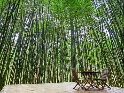 Azabu Boutique Accommodation Byron Bay - Accommodation Cairns 0