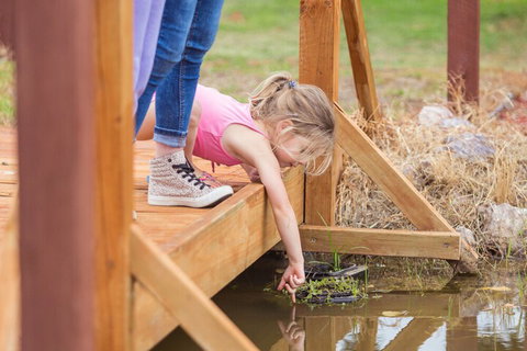 Tindarra Resort - Accommodation Cairns 5