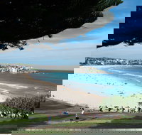 Bondi 38 Serviced Apartments - Accommodation Cairns