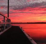Fairy Wren Cottage Country to Coast Retreat - Accommodation Cairns