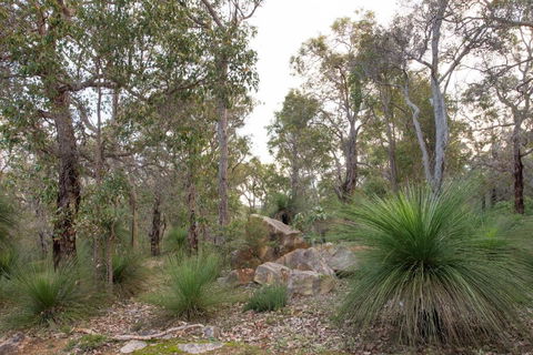 A Hidden Bush Delight - Accommodation Cairns 6
