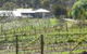 Eureka Farm - thumb 0