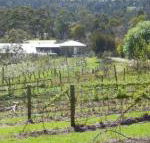 Eureka Farm - Accommodation Cairns