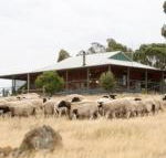 Gilgraves Vineyard Farmstay - Accommodation Cairns