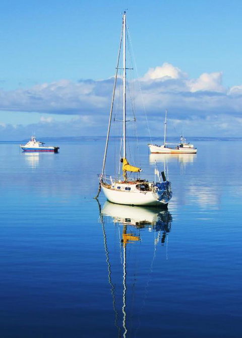 The Hakeas - Accommodation Cairns 1