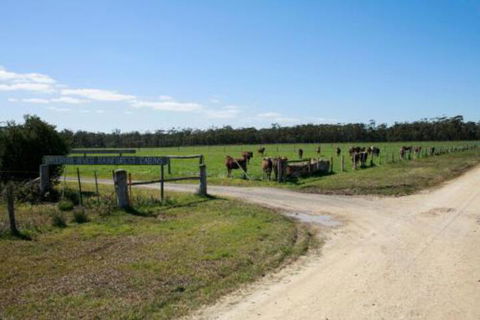 Brodribb River Rainforest Cabins Cabin 3 - Accommodation Cairns 7