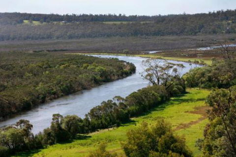 Brodribb River Rainforest Cabins Cabin 3 - Accommodation Cairns 5