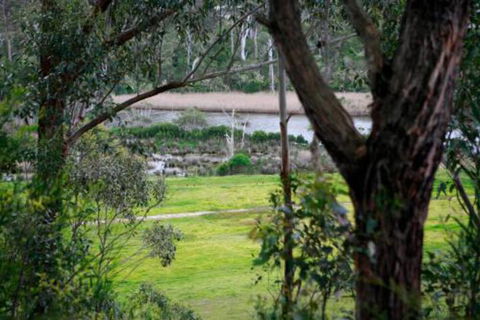 Brodribb River Rainforest Cabins Cabin 3 - Accommodation Cairns 3