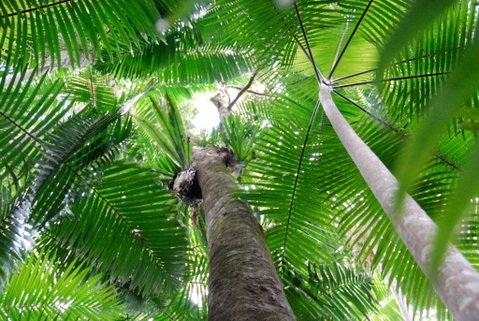 Casa Vista - Accommodation Cairns 2