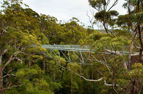 Riverside Retreat Chalets Walpole - Accommodation Cairns 5