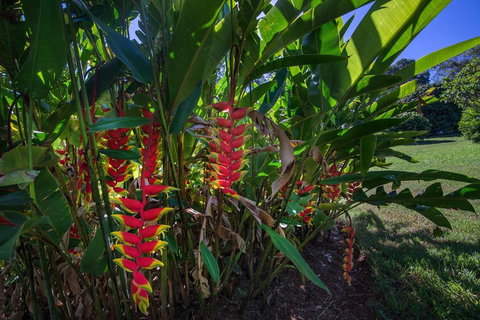 The Figs Byron - Accommodation Cairns 6